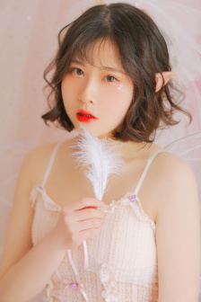 一本dao完结